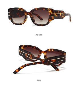 Detail view of tortoiseshell cat-eye sunglasses with gold triple stripe temple accents