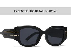 Detailed side view of cat eye sunglasses featuring gold metal stripes and rivet accents