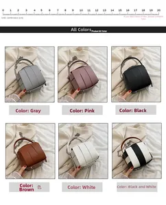 Detailed comparison of six color options for the woven cylinder chain bag with size scale