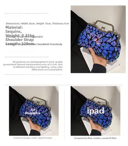 Detail view of colorful sequin evening bag showing 26x15x9cm size and silver clasp
