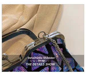 Detailed macro view of the silver metal frame clasp and detachable chain shoulder strap