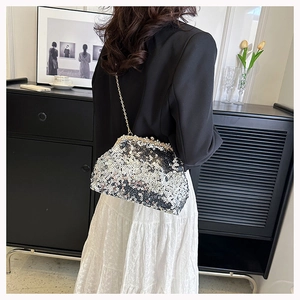Model wearing a sequined crossbody bag with silver gradient and golden chain strap