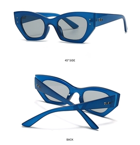 Détails de lunettes de soleil ovales avec monture bleue translucide et logo R;B en métal