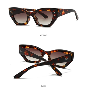 Détails des lunettes de soleil ovales en écaille avec verres dégradés bruns et logo