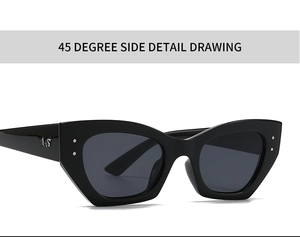 Vue détaillée des lunettes de soleil œil-de-chat noires avec charnières métalliques argentées