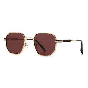 Modern polarized geometric sunglasses with gold metal frames and dark brown lenses