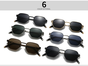 Detailed grid showing six hexagonal metal frame sunglasses in various lens colors