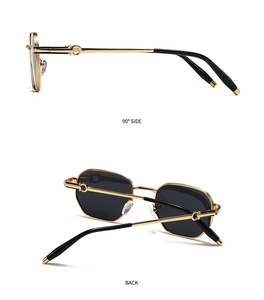 Detailed side view showing gold polygon metal frame and dark gray polarized lenses