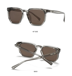 Detailansicht der transparenten grauen Sonnenbrille mit silbernen Flügelakzenten im 45-Grad-Winkel