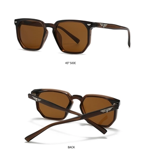 Detailansicht der bernsteinfarbenen Sonnenbrille mit silbernen Flügelakzenten am Bügel