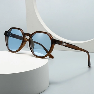 Retro Polygon Sunglasses For Men Women PC Frame UV400 Protection Fashion Square Eyewear With Metal Hinge Decorative