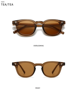 Detail view of retro translucent tea sunglasses with silver rivets and sleek finish