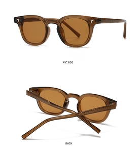 Detail of tortoiseshell sunglasses showing embossed metal core and wing rivets
