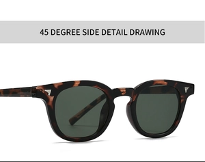 Detailed 45-degree side view of tortoiseshell sunglasses with silver arrow hinge accents