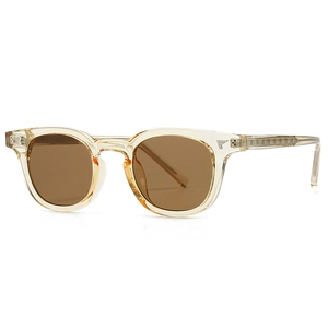 Retro champagne square sunglasses with brown lenses and silver wing wing decoration