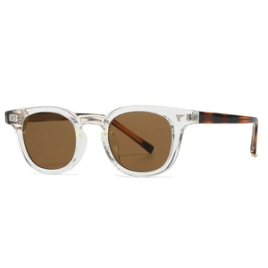 Retro sunglasses with clear frames, tortoiseshell temples, and silver wing metal accents