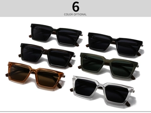 Présentation de six lunettes de soleil polarisées rétro en diverses couleurs tendance