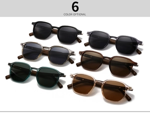 Detailed collection of six retro polarized sunglasses in various stylish frame colors