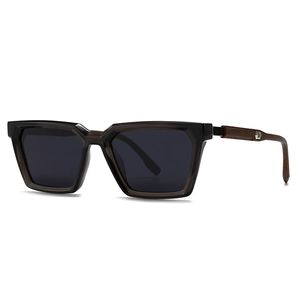 Lunettes de soleil polarisées rétro avec monture grise et branches aspect bois