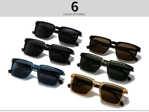 Detailed grid view of six vintage polarized sunglasses in assorted stylish frame colors