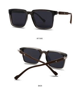 Detail view of retro square sunglasses featuring translucent frames and wood temples with bird inlay