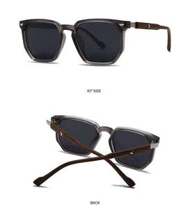 Detail of square sunglasses with walnut wood grain temples and metal bird emblem