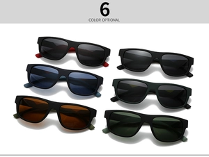 Classic square frame polarized sunglasses set in six different matte finish colors