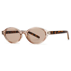 Classic oval polarized sunglasses with champagne frames and tortoiseshell temples on white
