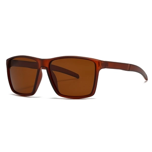 Lunettes de soleil polarisées carrées modernes avec monture marron transparente