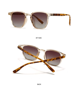 Vues détaillées des lunettes de soleil rétro avec monture champagne et branches écaillées