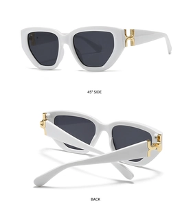 Detail of white square sunglasses with gold H-shaped hinge and dark lenses from two angles