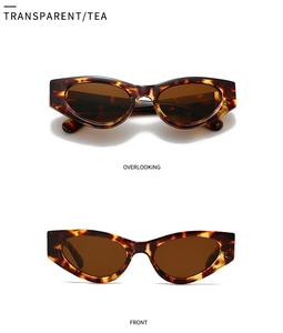 Vues détaillées de lunettes de soleil carrées vintage avec verres de couleur thé