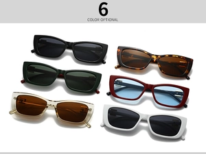Detailed display of vintage square sunglasses in six diverse colors and acetate frames