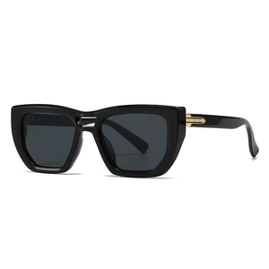 Modern Square Cat Eye Sunglasses Retro Fashion Large PC Frame Resin Lens UV400 Protection For Women Men