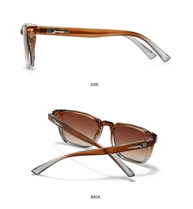 Detail view of tortoiseshell frame sunglasses with silver metallic temple decorations
