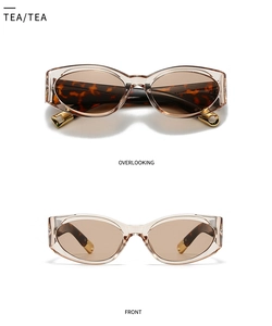 Detail view of oval tea-colored sunglasses with tortoiseshell temples and golden accents