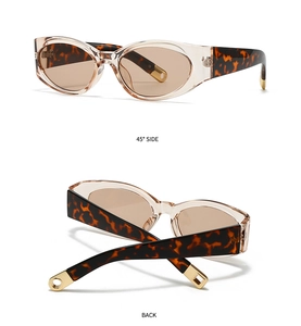 Detail view of champagne cat-eye sunglasses with tortoiseshell temples and metal accents