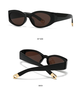 Detail view of black oval cat-eye sunglasses with gold metal accents on temple tips