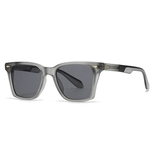 Lunettes de soleil rétro à monture grise transparente avec détails de flèche dorée