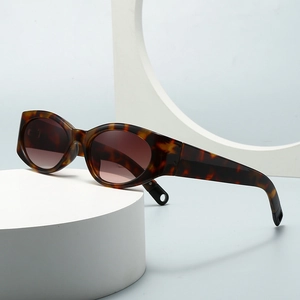 Retro Oval Sunglasses PC Frame UV400 Protection Fashion Cat Eye Vintage Eyewear For Women Men Outdoor Y2K Style