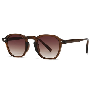 Retro tortoise shell sunglasses with brown gradient lenses and silver arrow metal accents