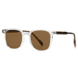 Lunettes de soleil rétro avec monture transparente et verres bruns avec branches écaille