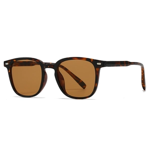 Lunettes de soleil rétro en écaille avec verres bruns et rivets argentés, vue de profil