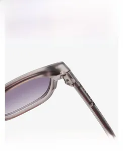 Détail de la monture grise transparente avec verres dégradés violets et charnière métallique