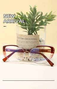 Macro detail of amber cat-eye glasses frame with 6586 model number and CE mark