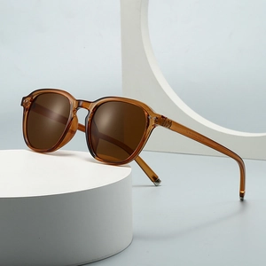 Moderne Retro Vierkante Zonnebril met Dubbele Brug voor Heren Dames UV400 Mode INS Stijl PC Montuur Schaduw Brillen