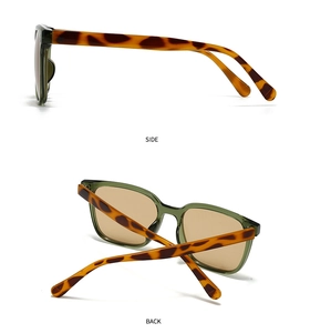 Vue détaillée de lunettes de soleil vintage avec monture verte et branches écaillées