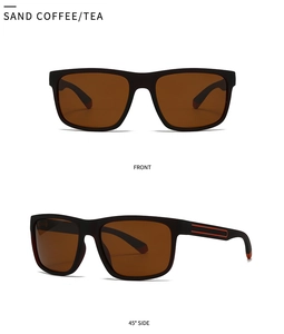 Lunettes de soleil polarisées pour hommes en noir mat avec détails rouges et verres thé