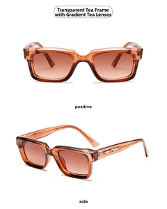 Detailansicht der transparenten braunen Rechteck-Sonnenbrille mit Goldflügel-Deko
