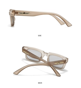 Detail view of champagne translucent frame with golden wing hardware on side and back